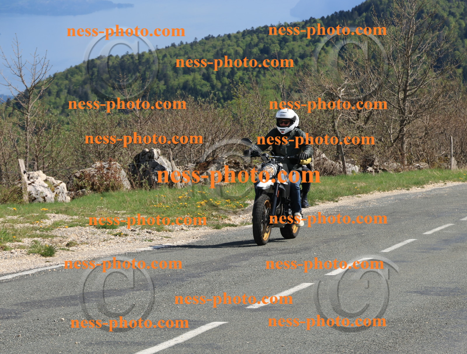 Col du Grand Colombier (246).JPG