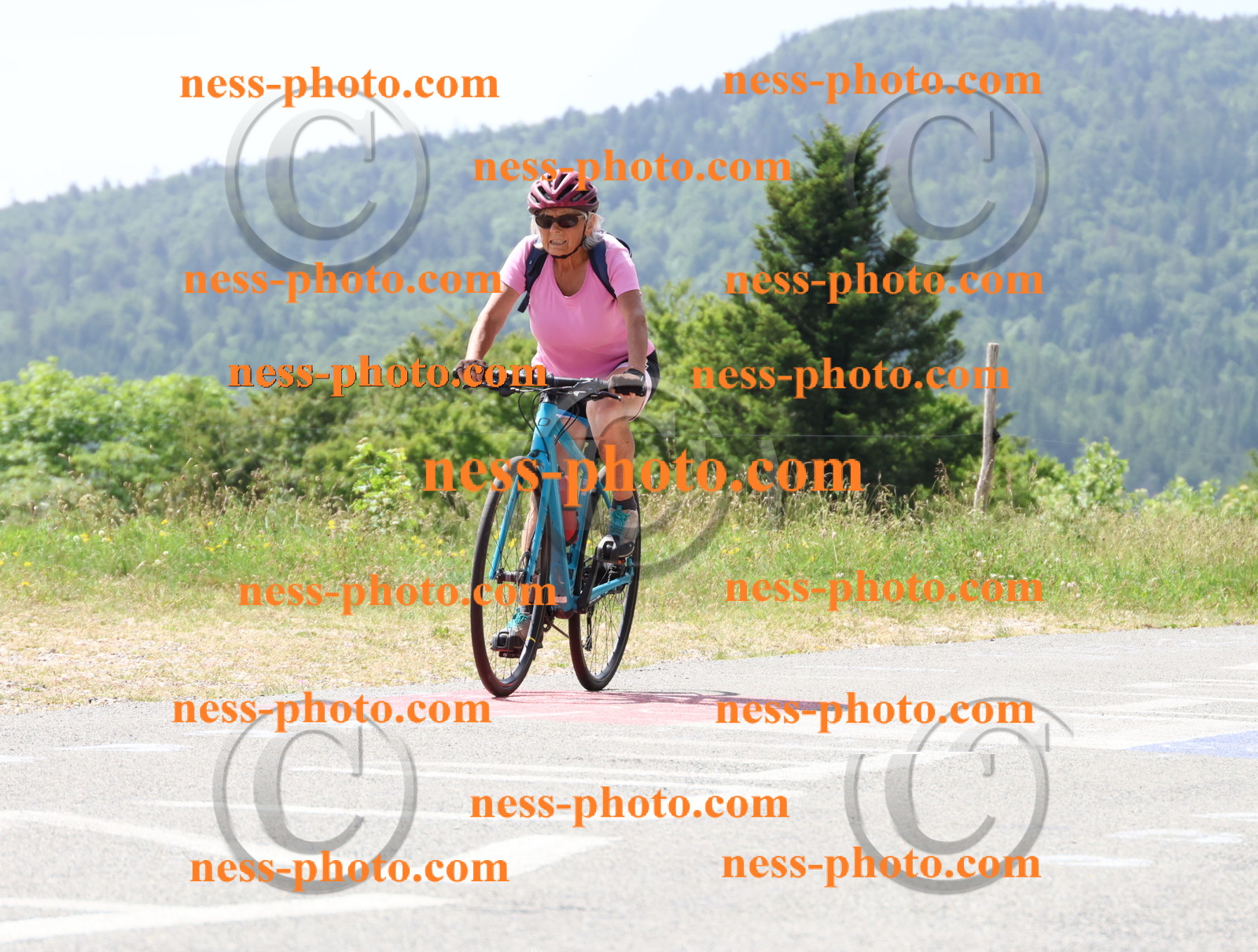 Col du grand Colombier (1711).JPG