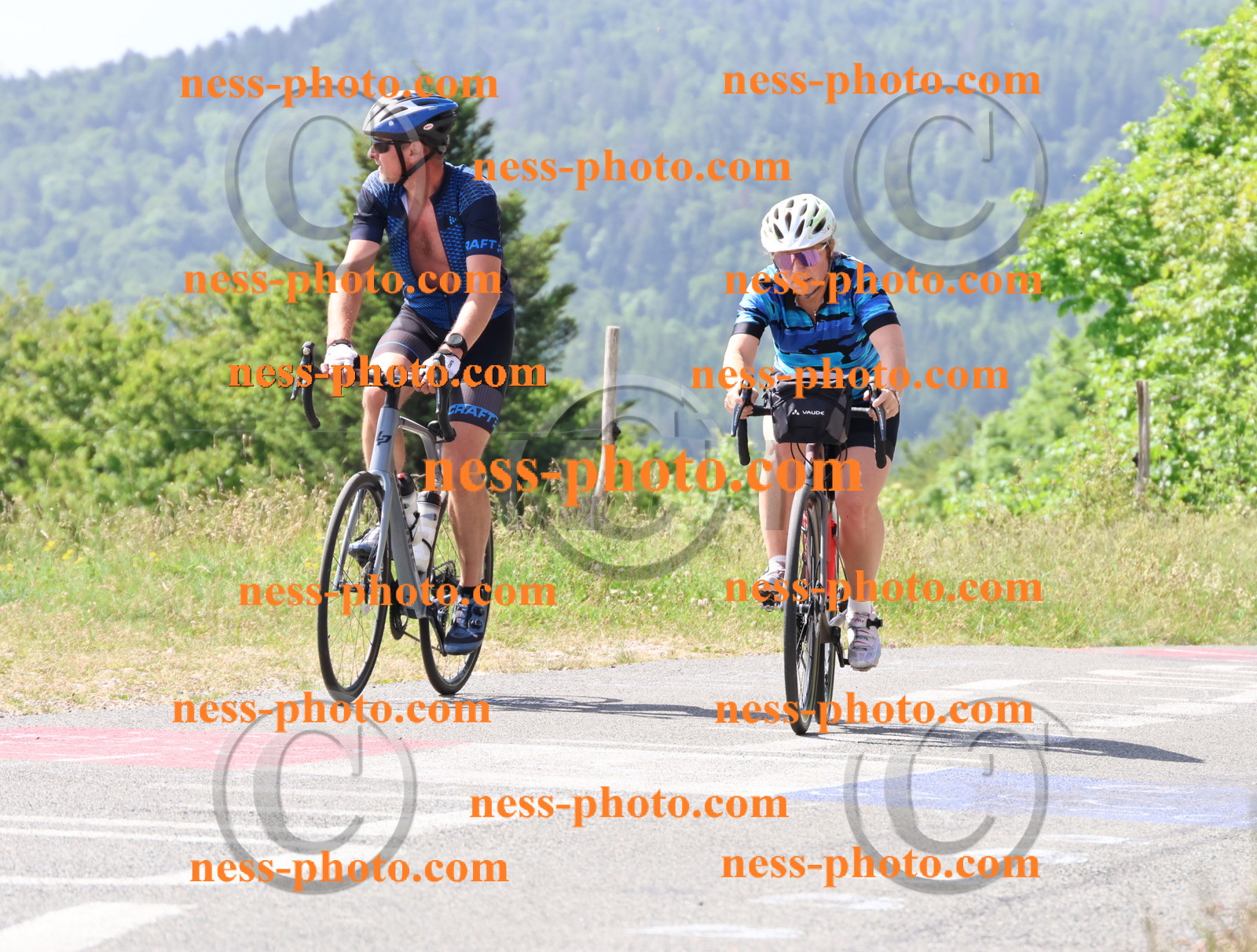Col du grand Colombier (1242).JPG