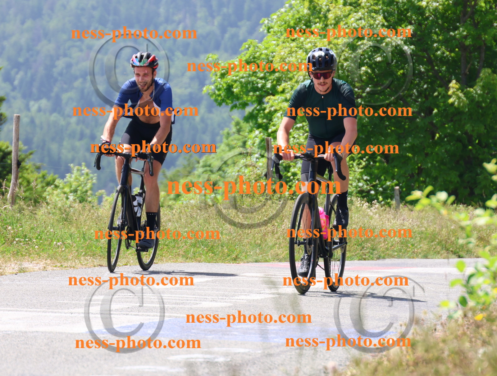 Col du grand Colombier (2296).JPG