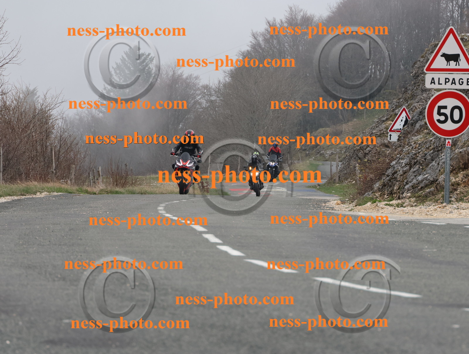 Col du Grand Colombier (5).JPG