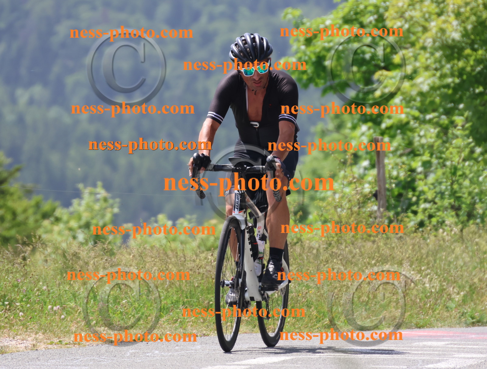 Col du grand Colombier (2192).JPG