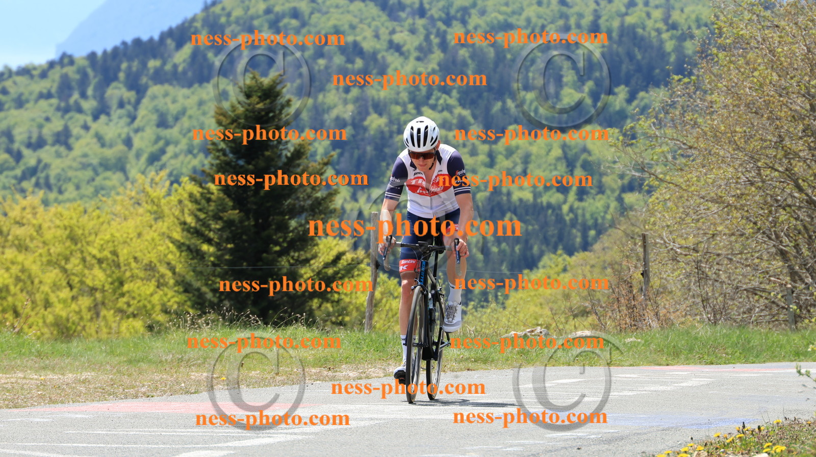 Col du grand Colombier (216).JPG