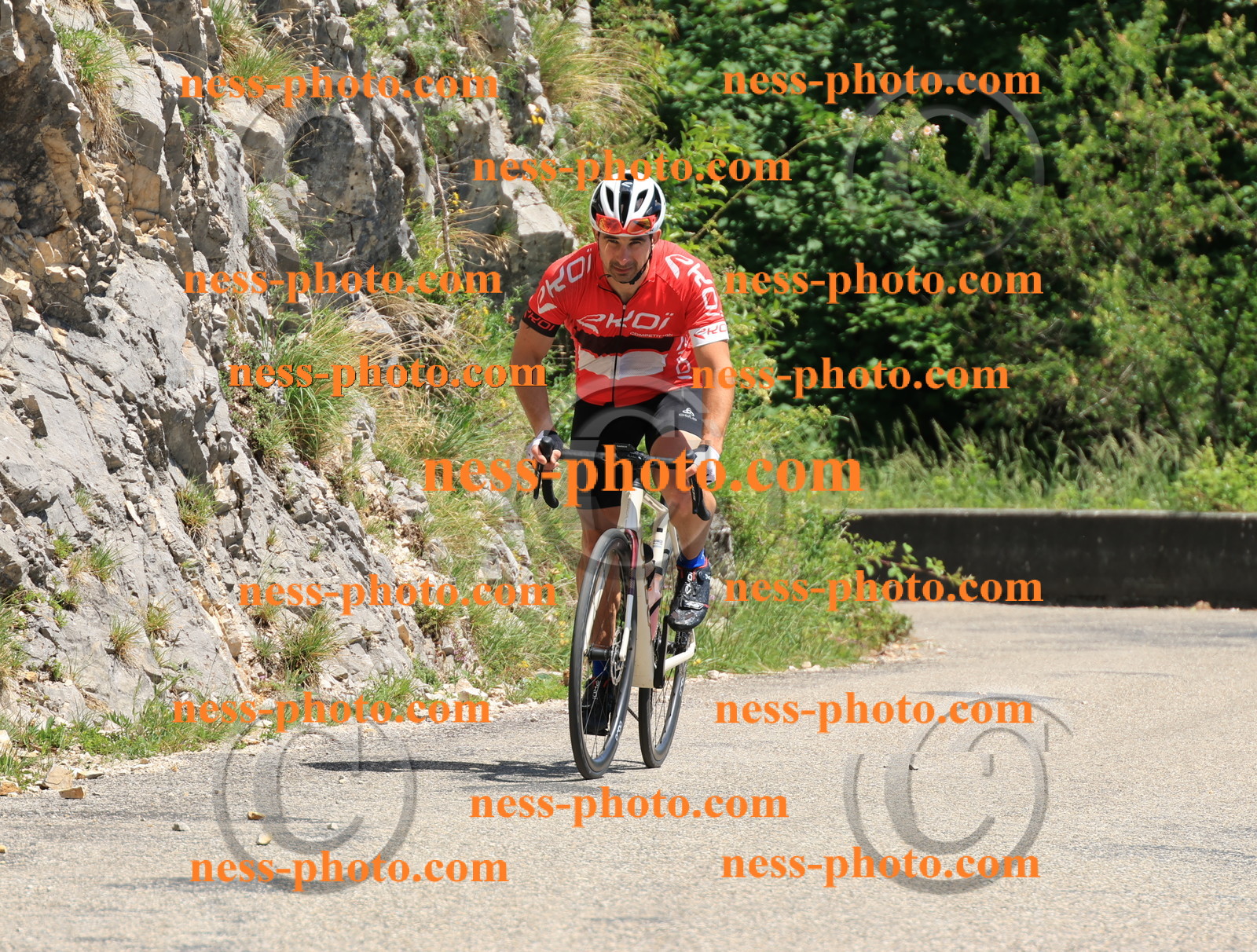 Col du Grand Colombier (628).JPG