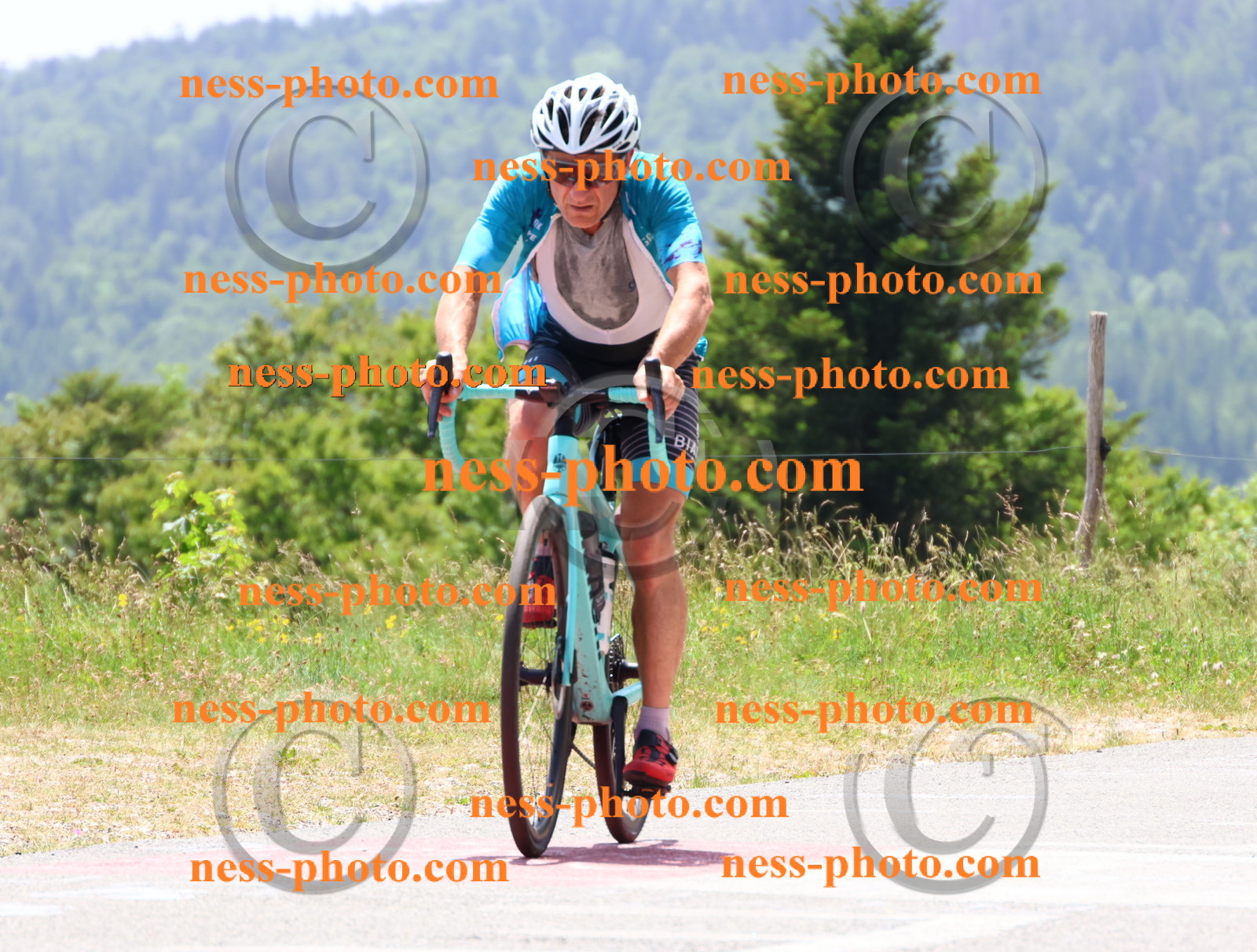 Col du grand Colombier (2894).JPG