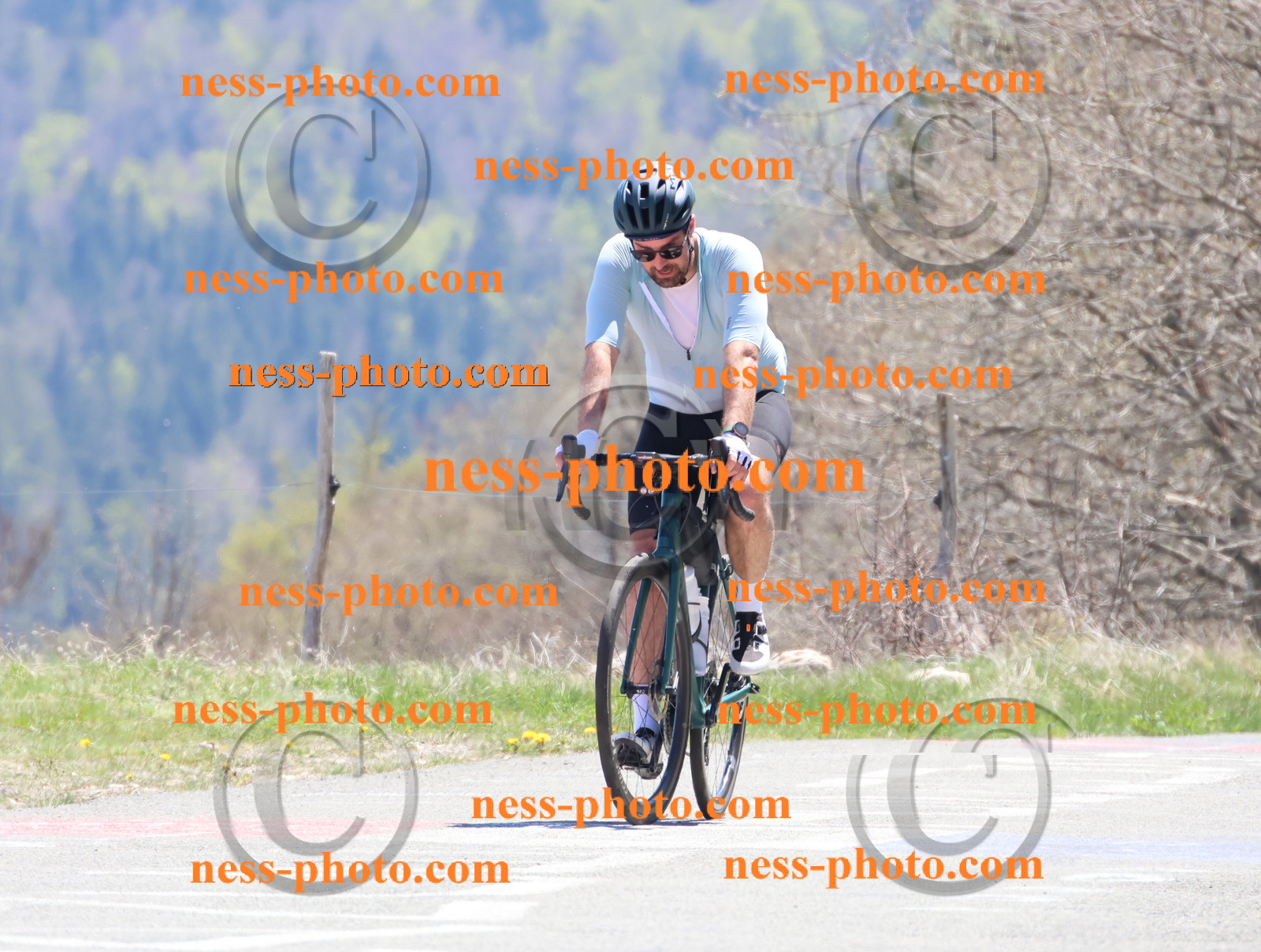 Col du Grand Colombier (775).JPG