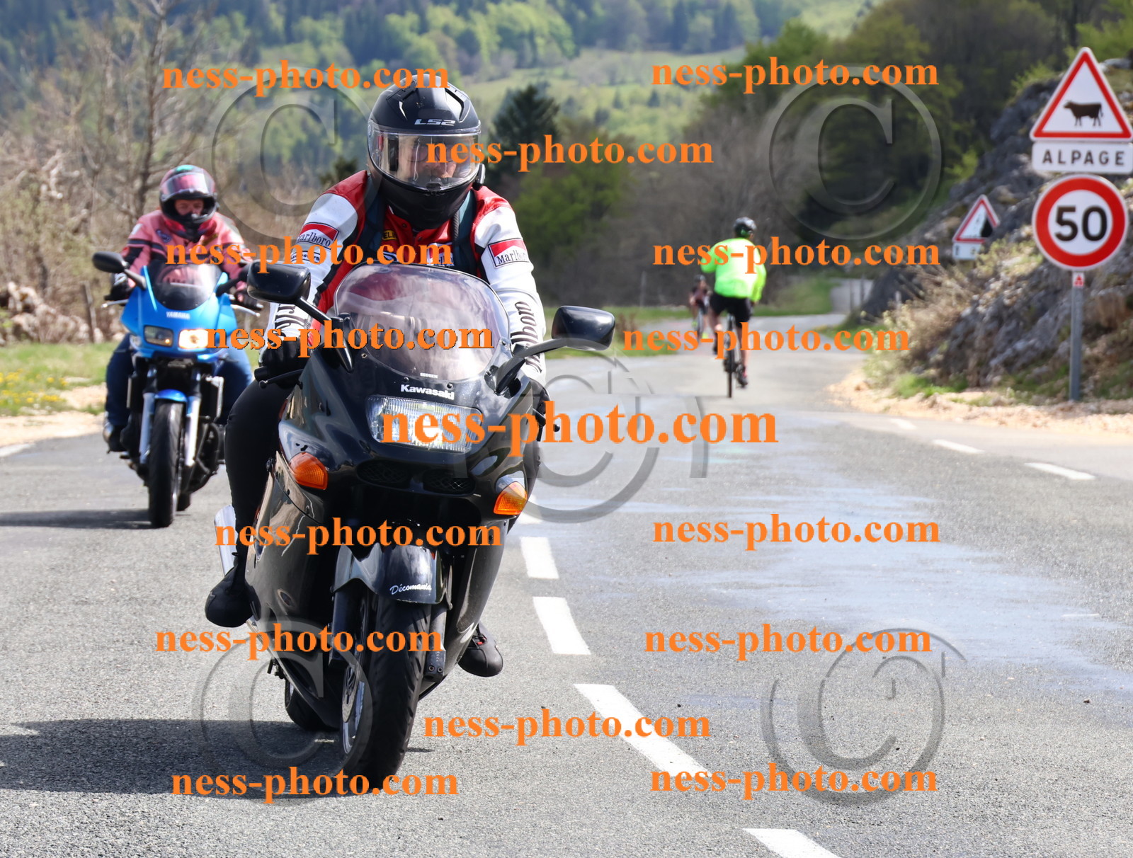 Col du Colombier (51).JPG