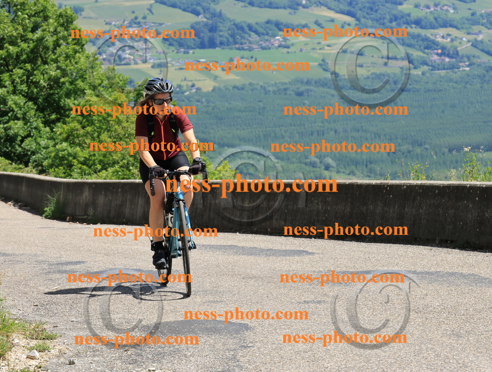 Col du Grand Colombier (642).JPG