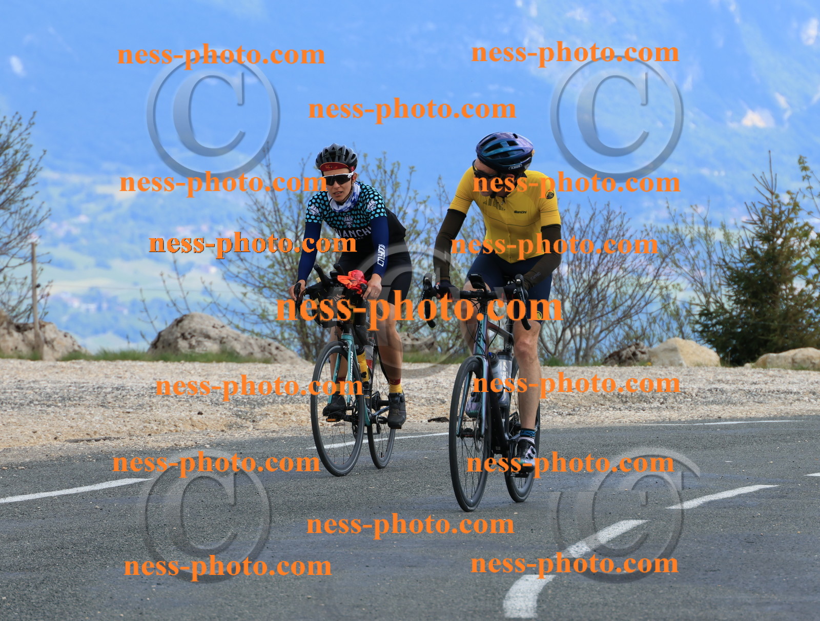 Col du grand Colombier (688).JPG