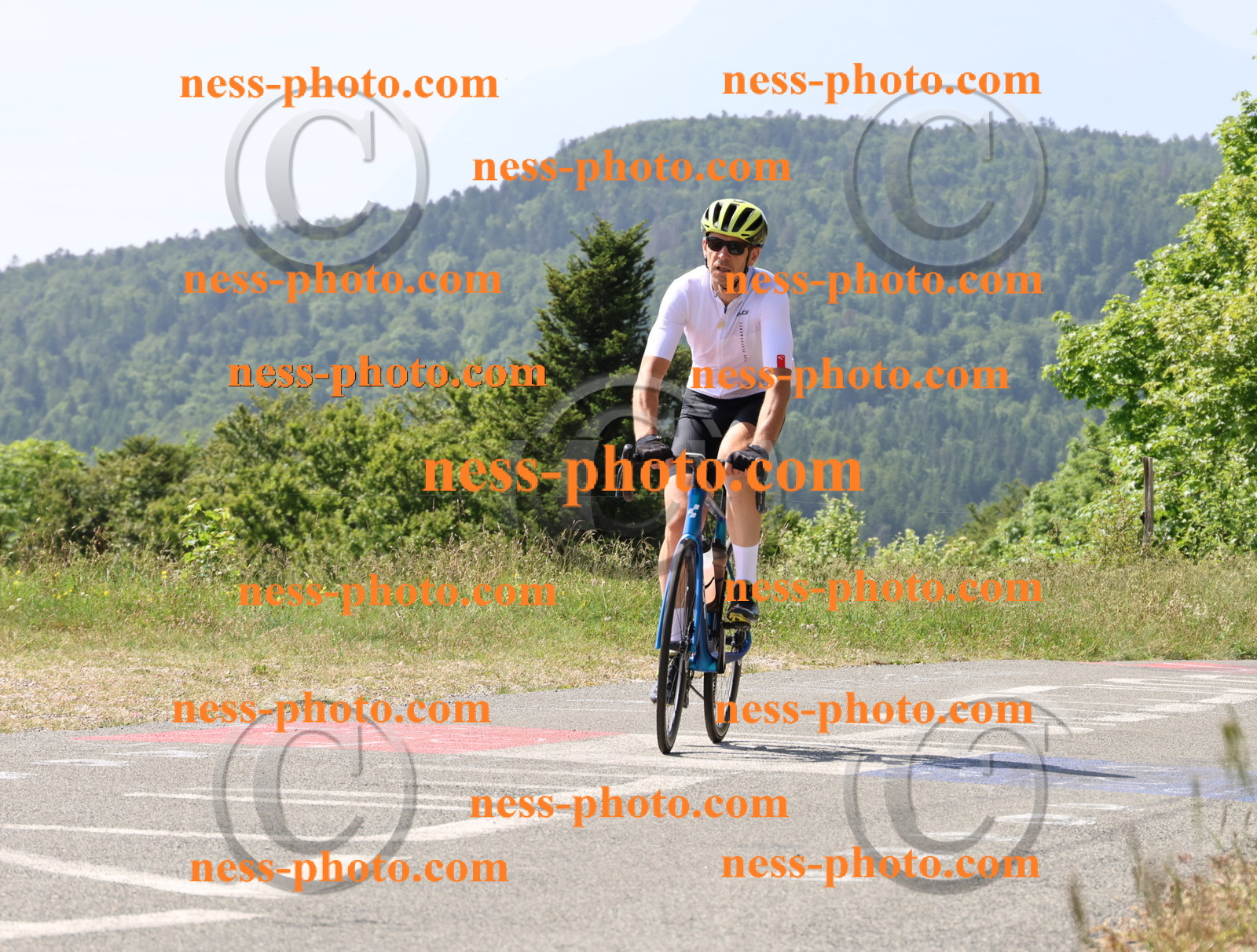 Col du grand Colombier (1260).JPG