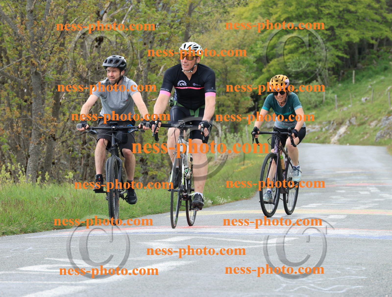 Col du Grand Colombier (589).JPG