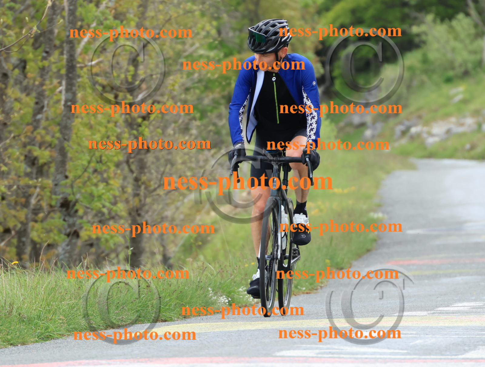 Col du Grand Colombier (518).JPG