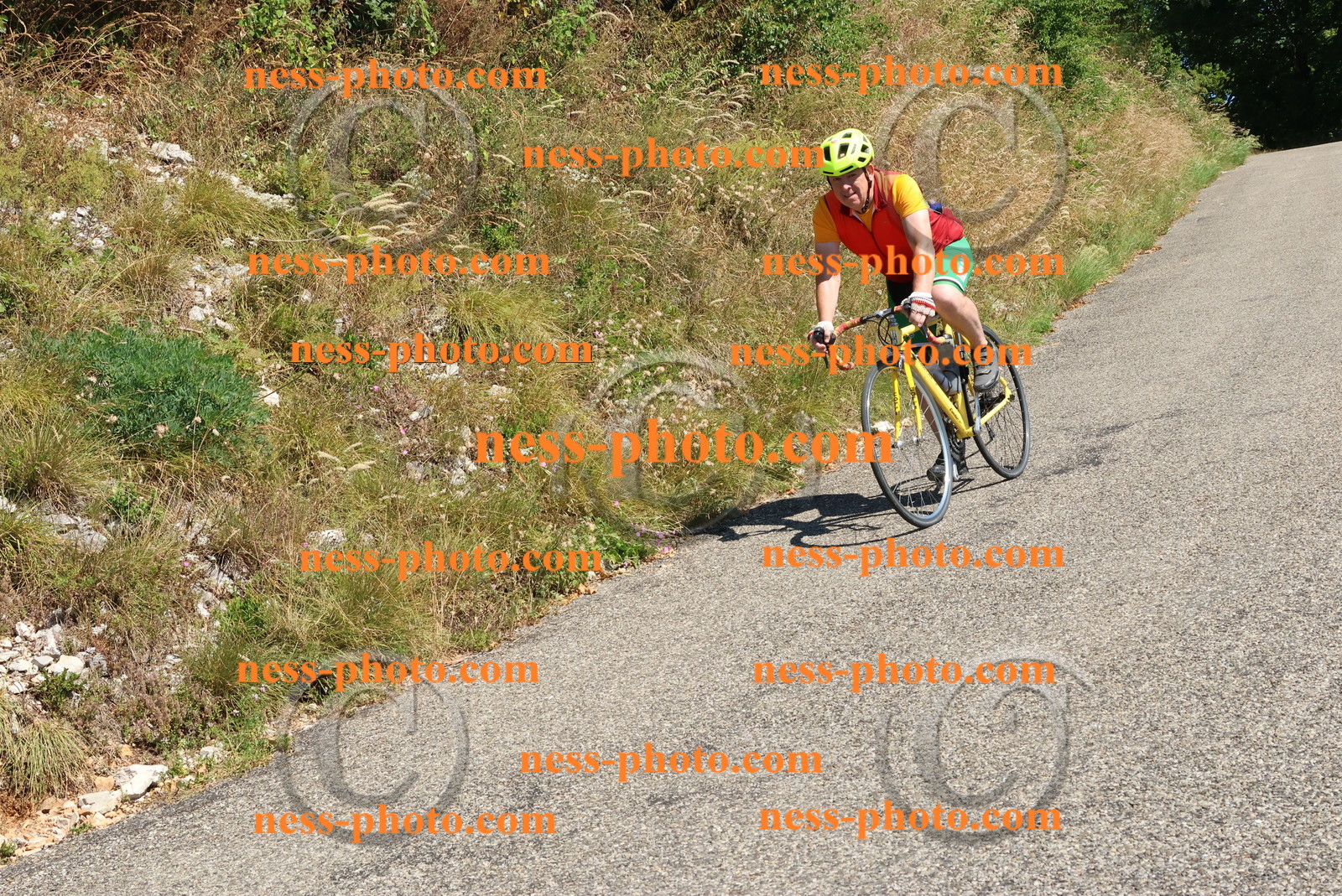 Col du Grand Colombier (325).JPG