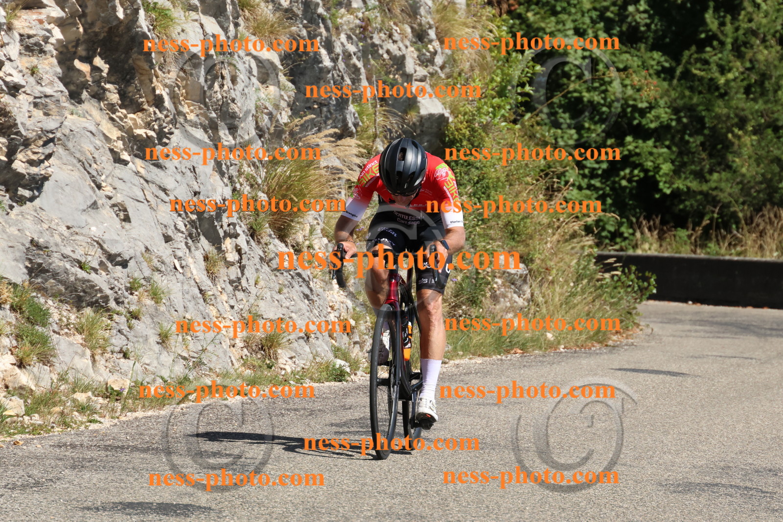 Col du Grand Colombier (660).JPG