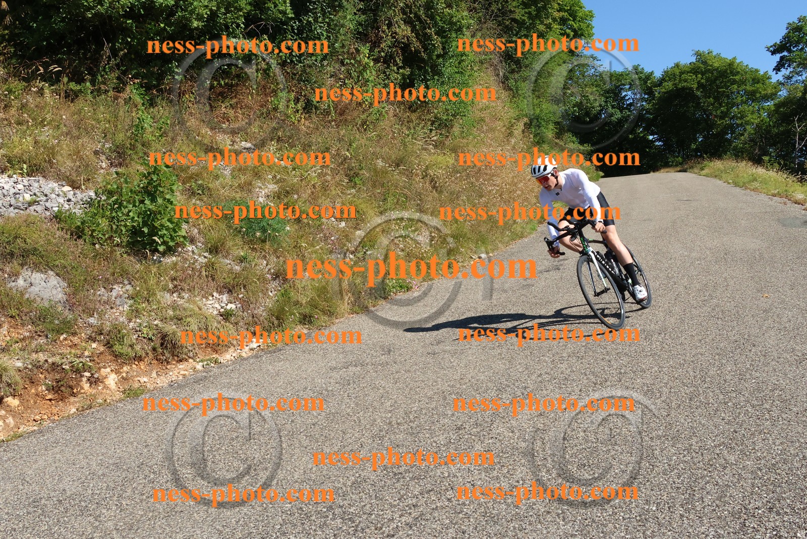 Col du Grand Colombier (255).JPG