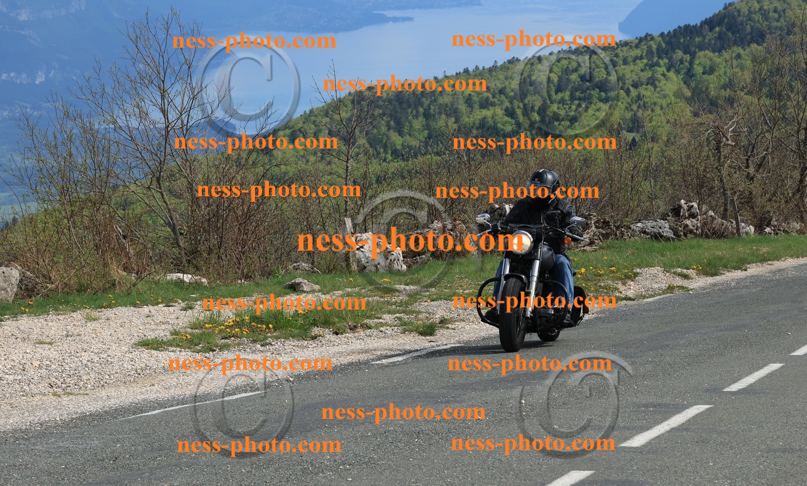 Col du Grand Colombier (256).JPG