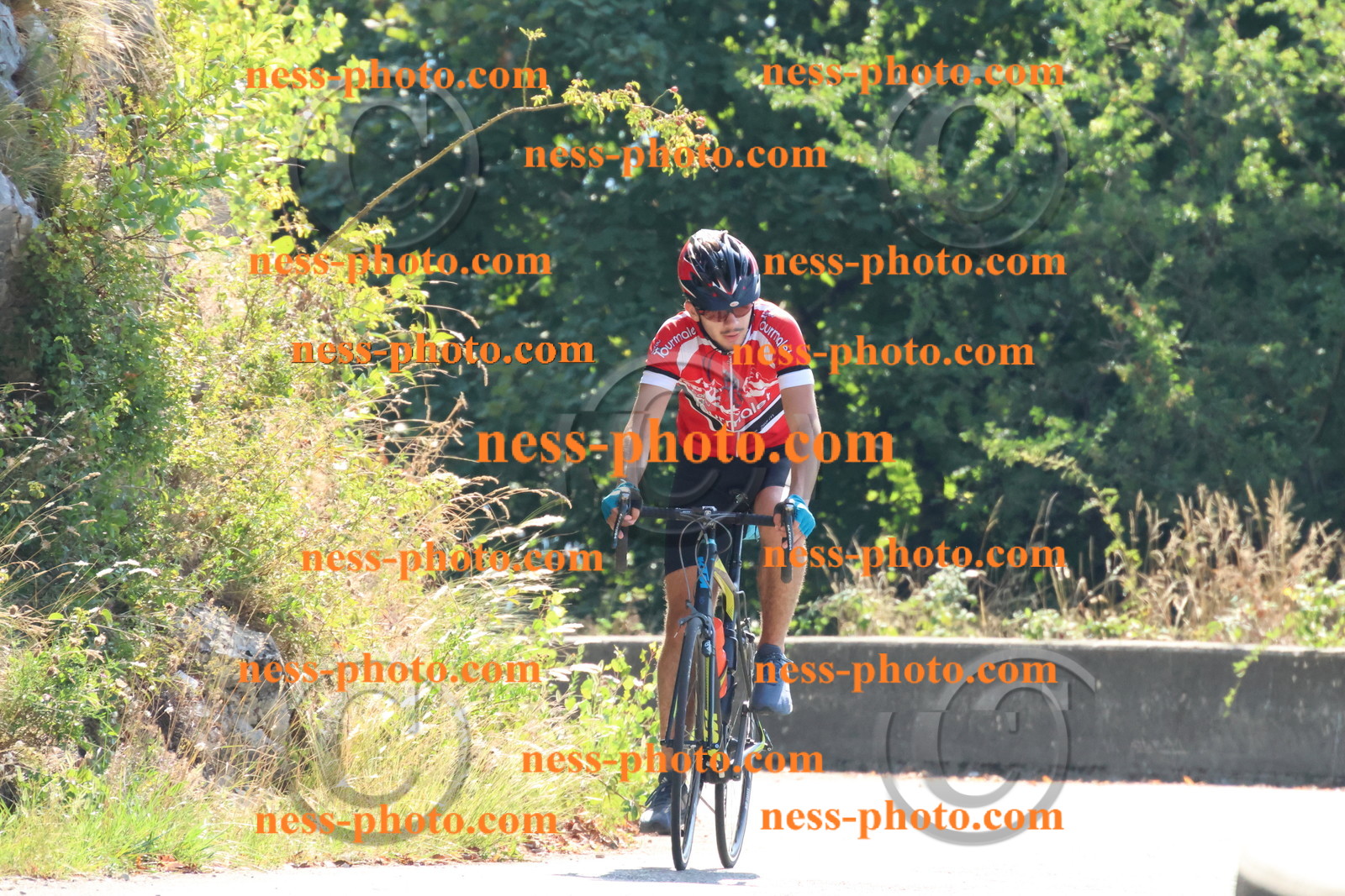 Col du Grand Colombier (105).JPG