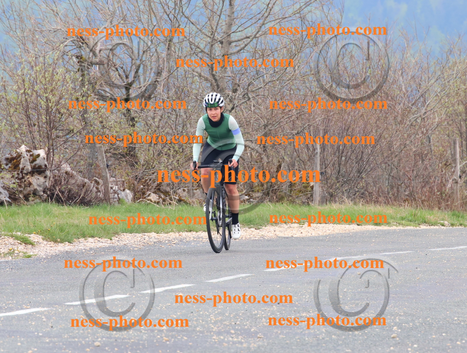 Col du Grand Colombier (264).JPG