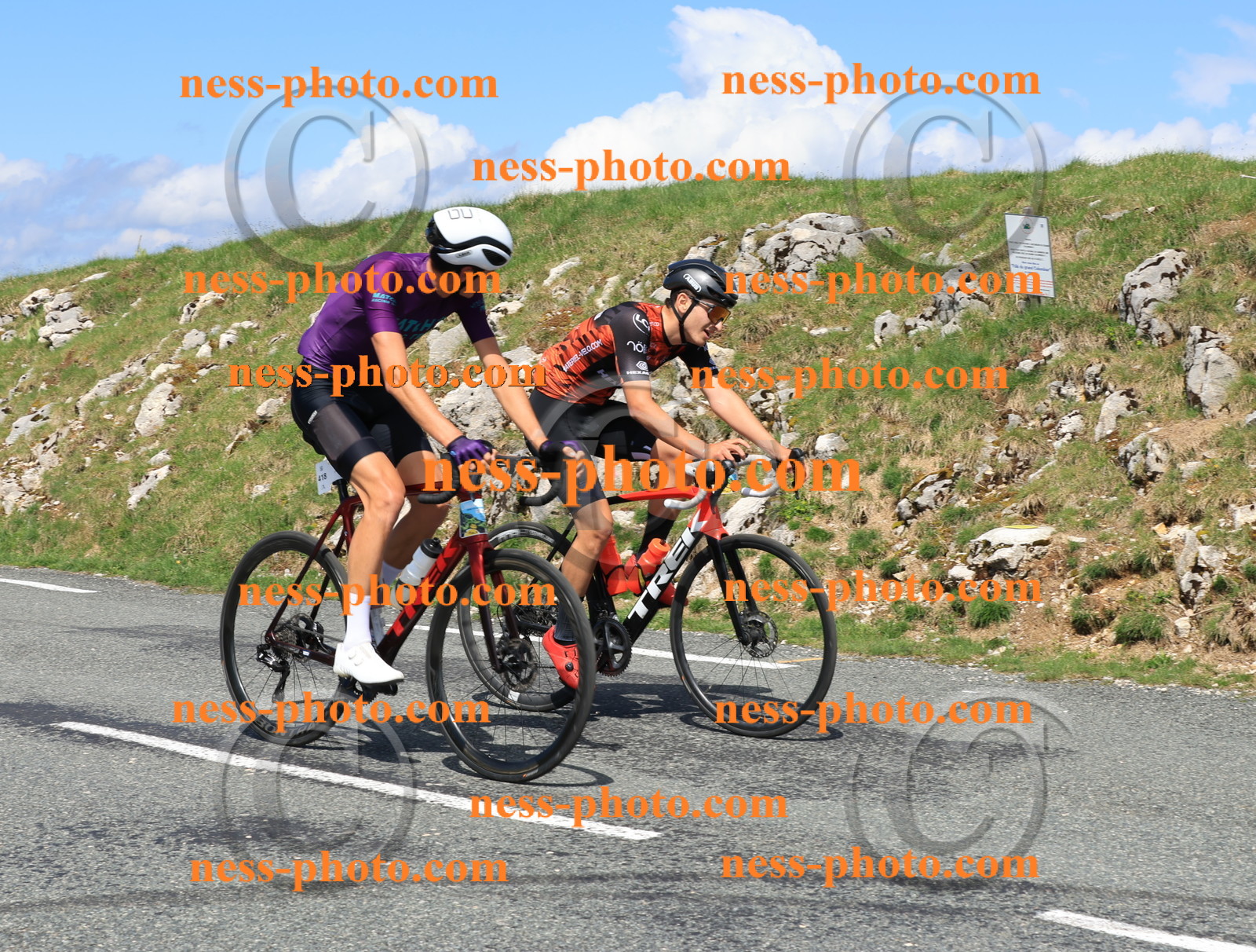 Col du Grand Colombier (868).JPG