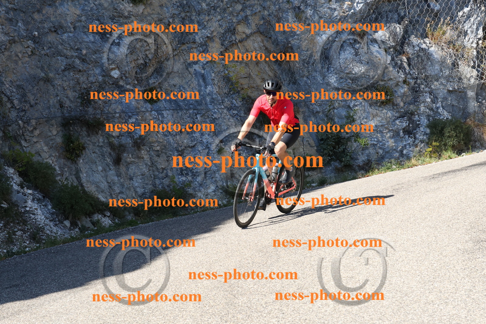 Col du Grand Colombier (495).JPG