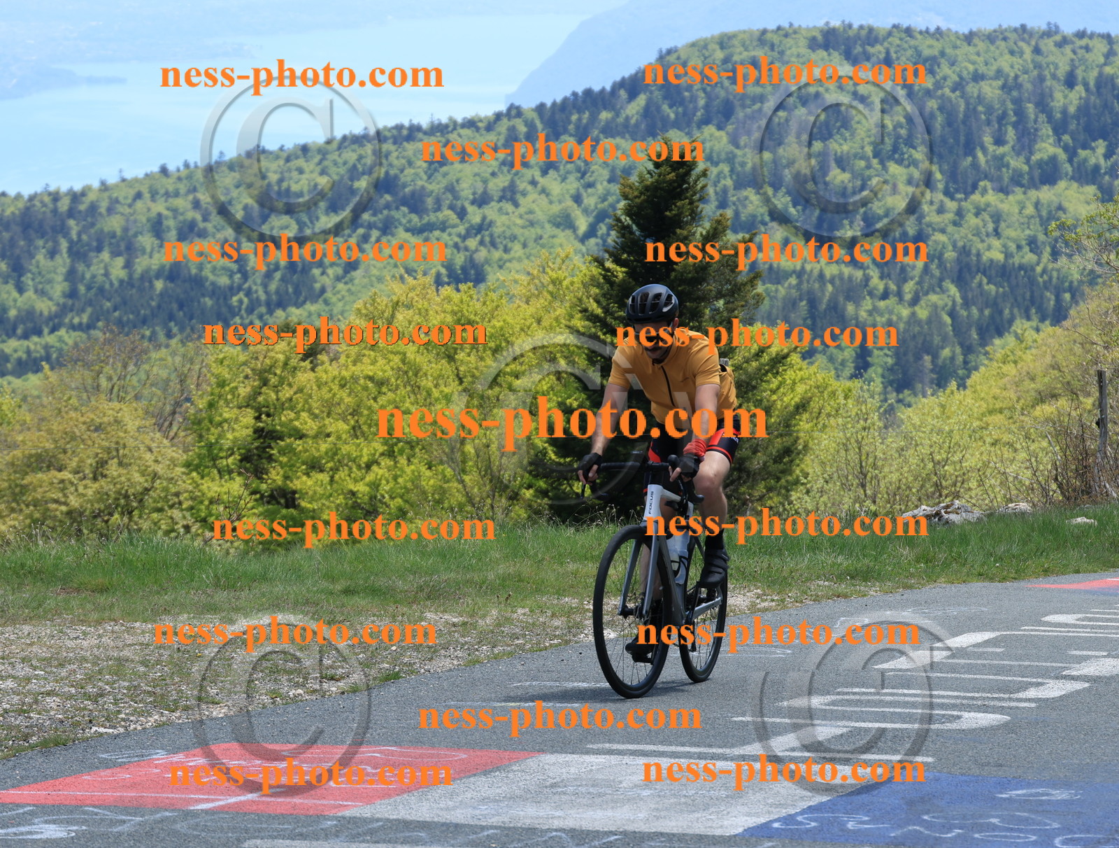 Col du Grand Colombier (487).JPG