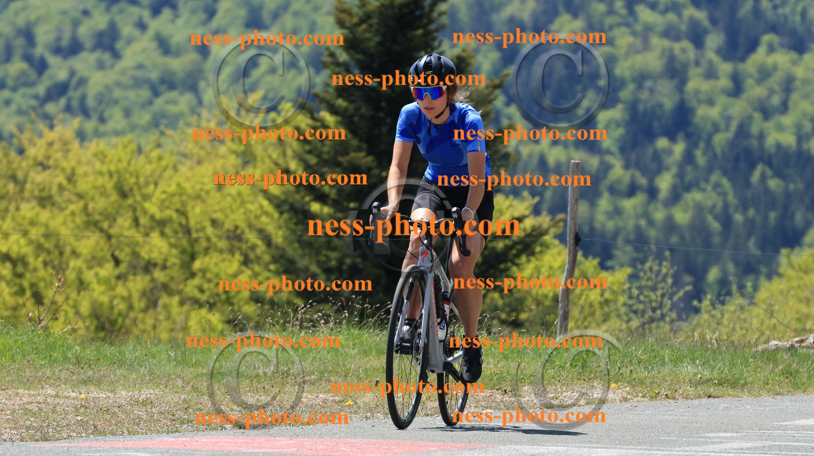 Col du grand Colombier (83).JPG