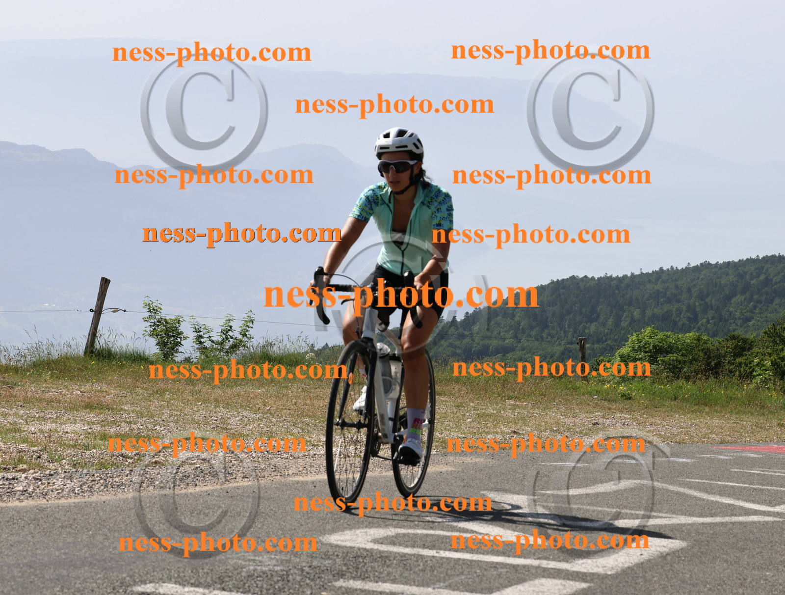 Col du grand Colombier (952).JPG