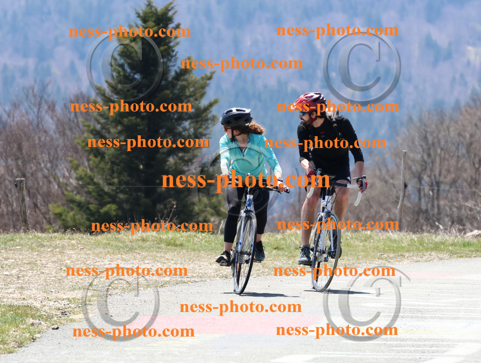 Col du Grand Colombier (226).JPG