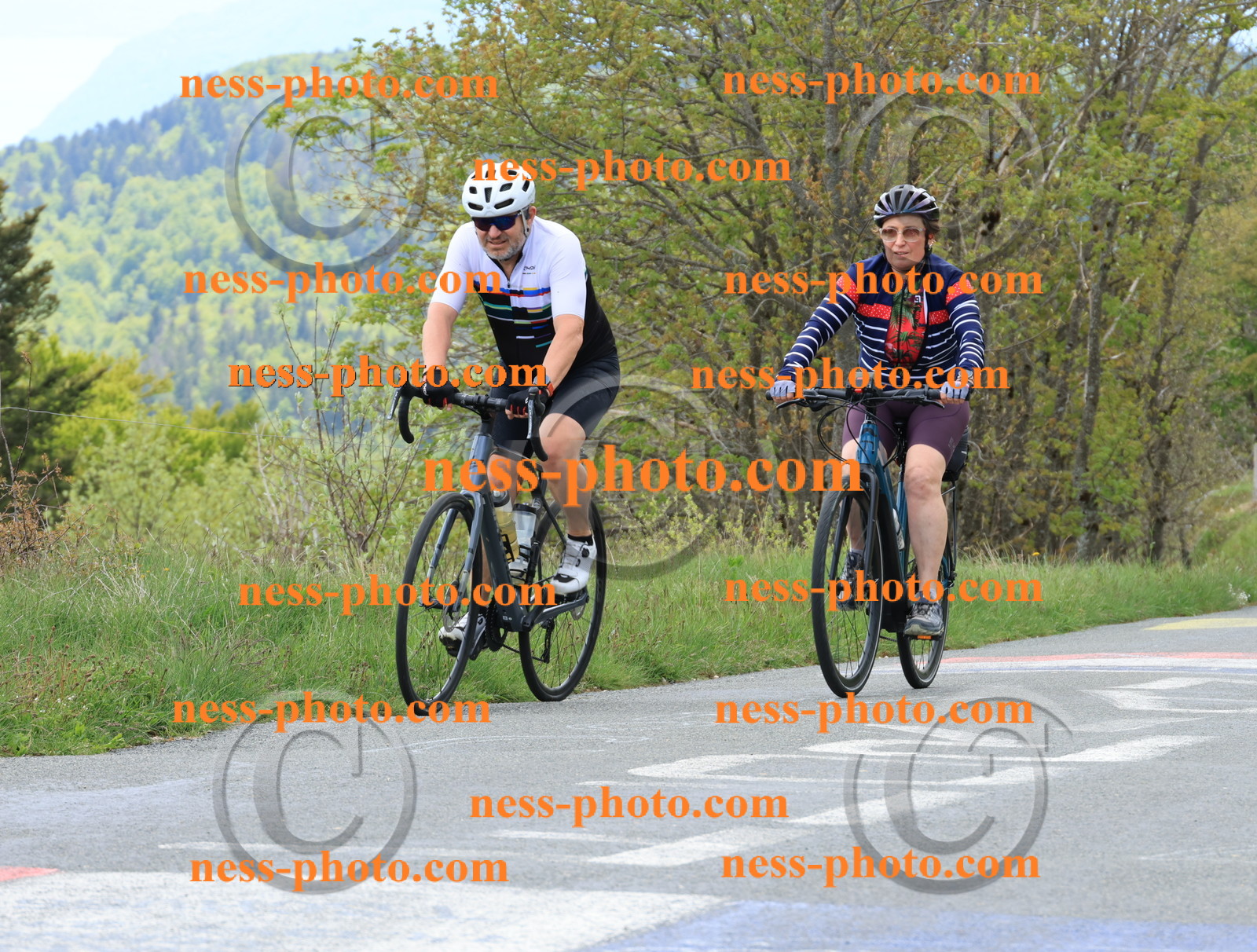 Col du Grand Colombier (571).JPG