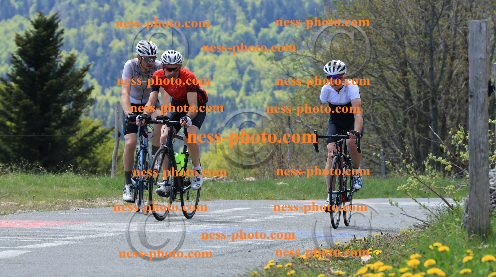 Col du grand Colombier (176).JPG