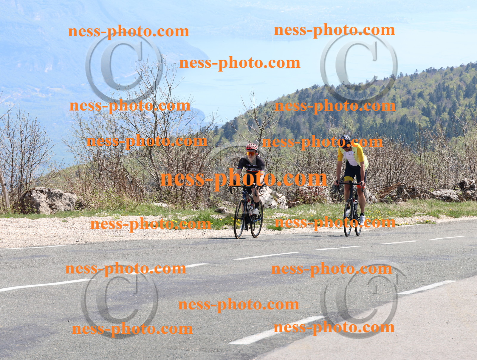 Col du Grand Colombier (867).JPG