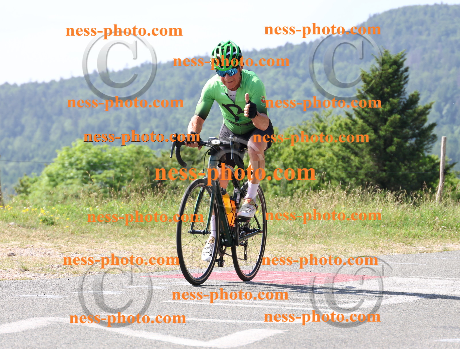 Col du grand Colombier (407).JPG