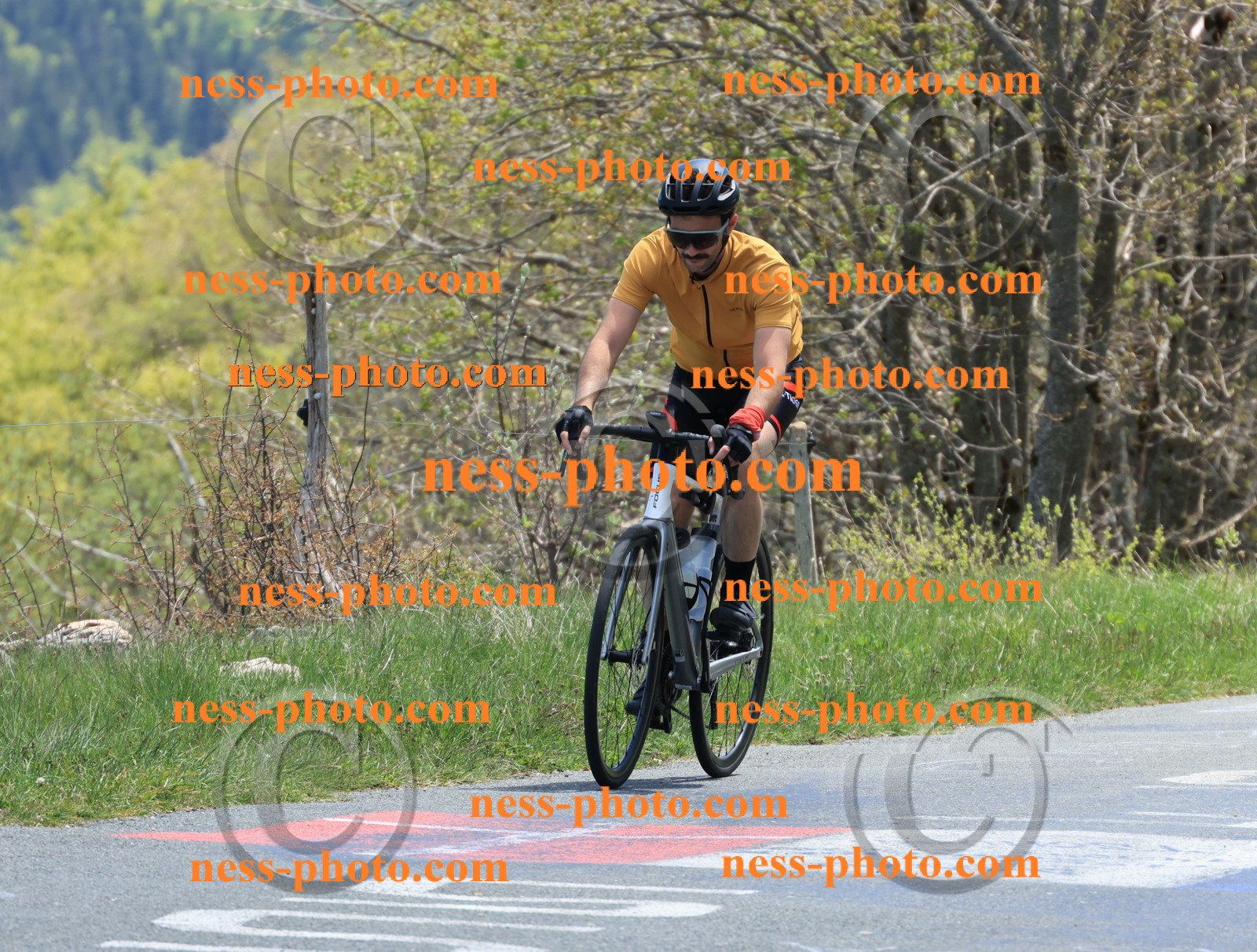 Col du Grand Colombier (484).JPG