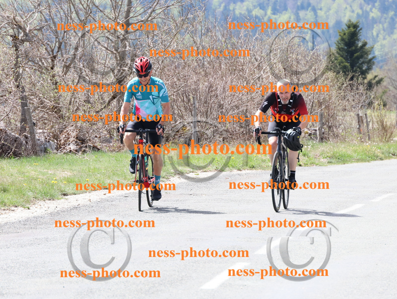 Col du Grand Colombier (20).JPG