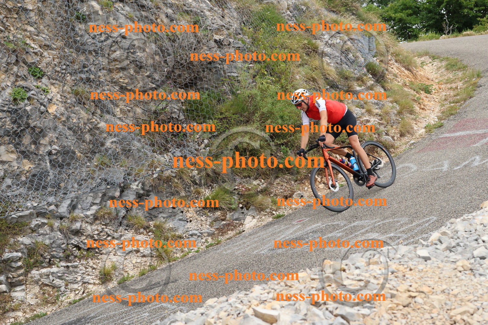 Col du Grand Colombier  (736).JPG