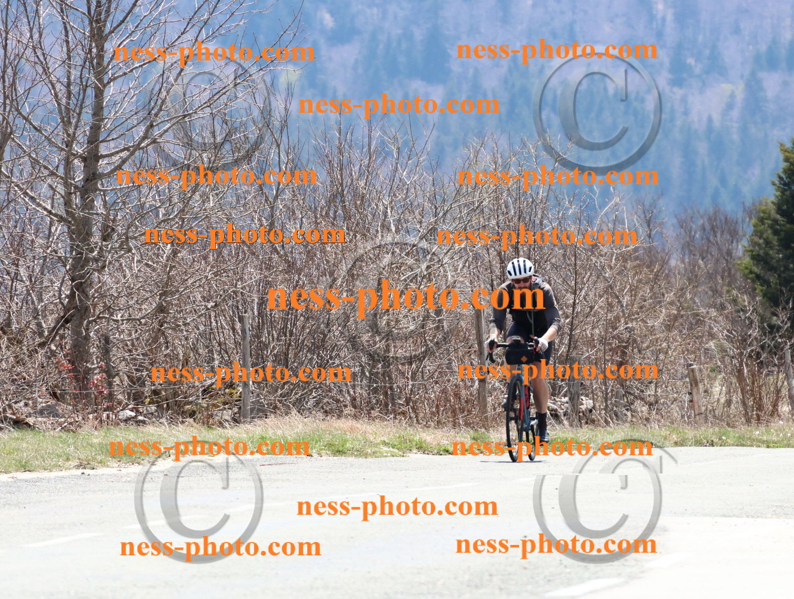 Col du Grand Colombier (323).JPG