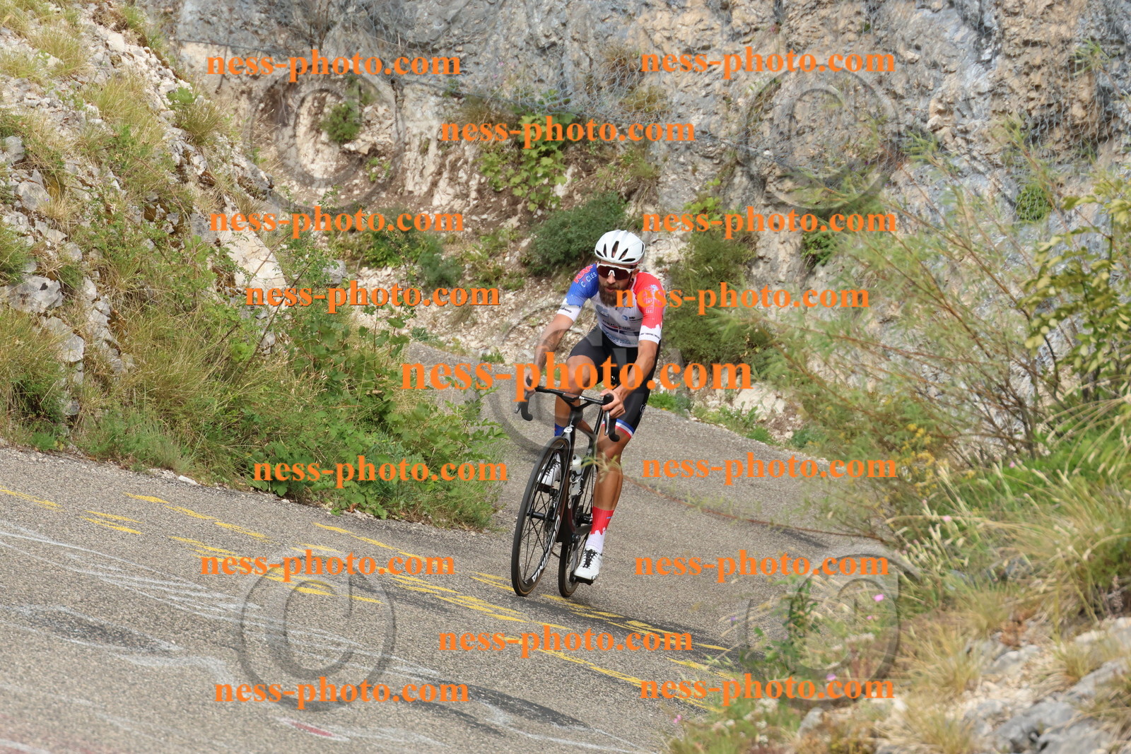 Col du Grand Colombier  (346).JPG