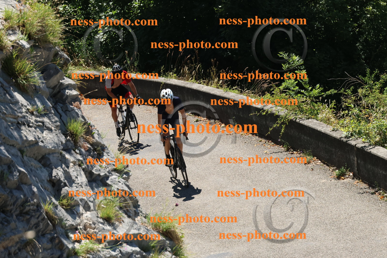 Col du Grand Colombier (395).JPG