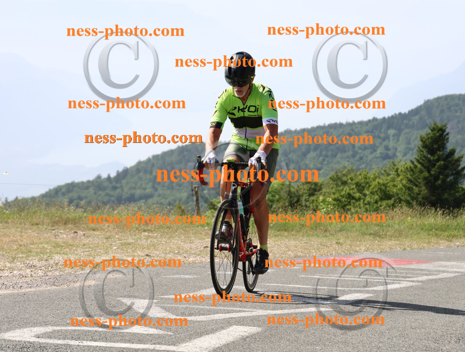 Col du grand Colombier (497).JPG