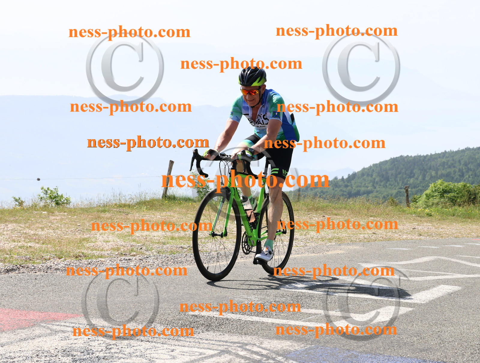 Col du grand Colombier (908).JPG