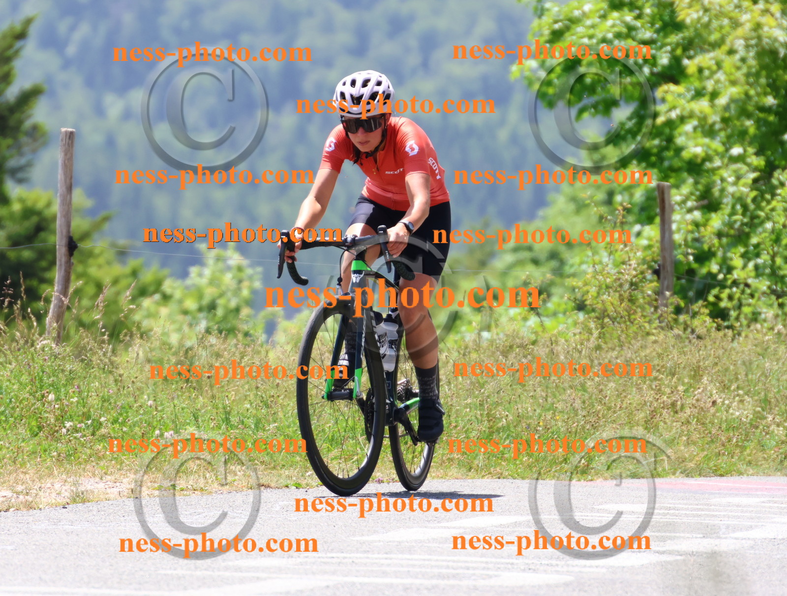 Col du grand Colombier (2715).JPG