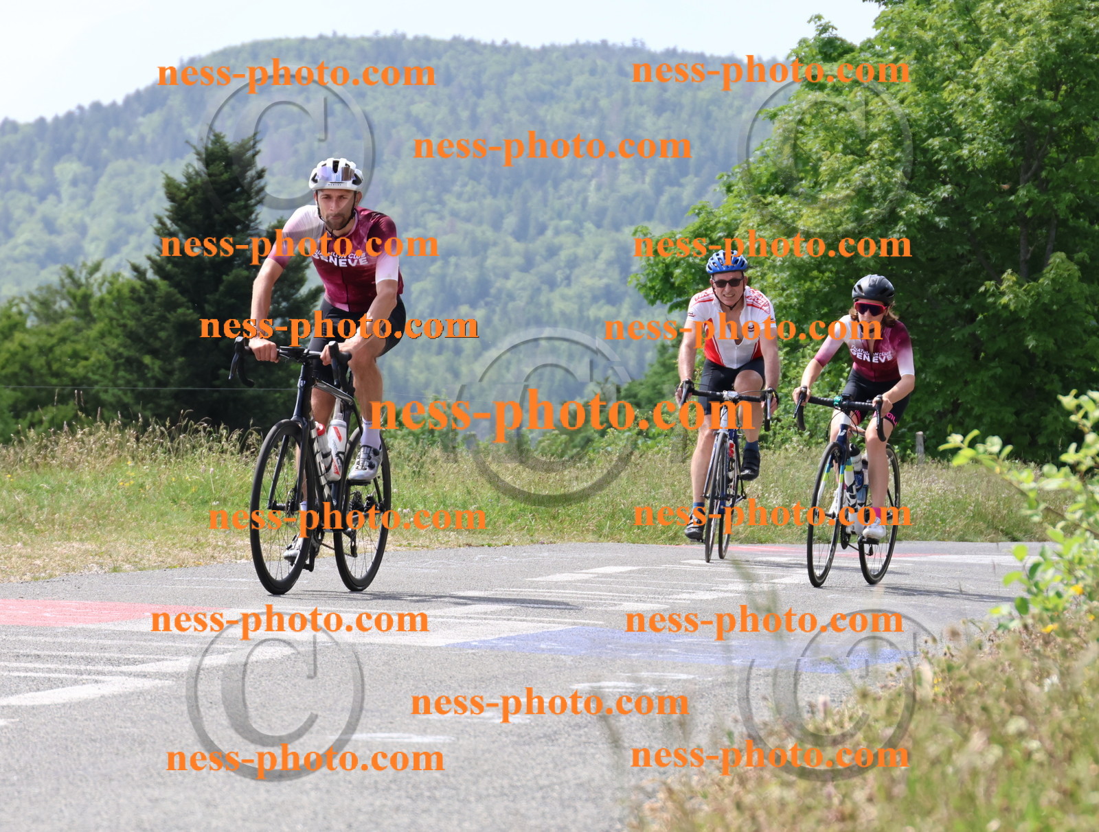 Col du grand Colombier (1748).JPG