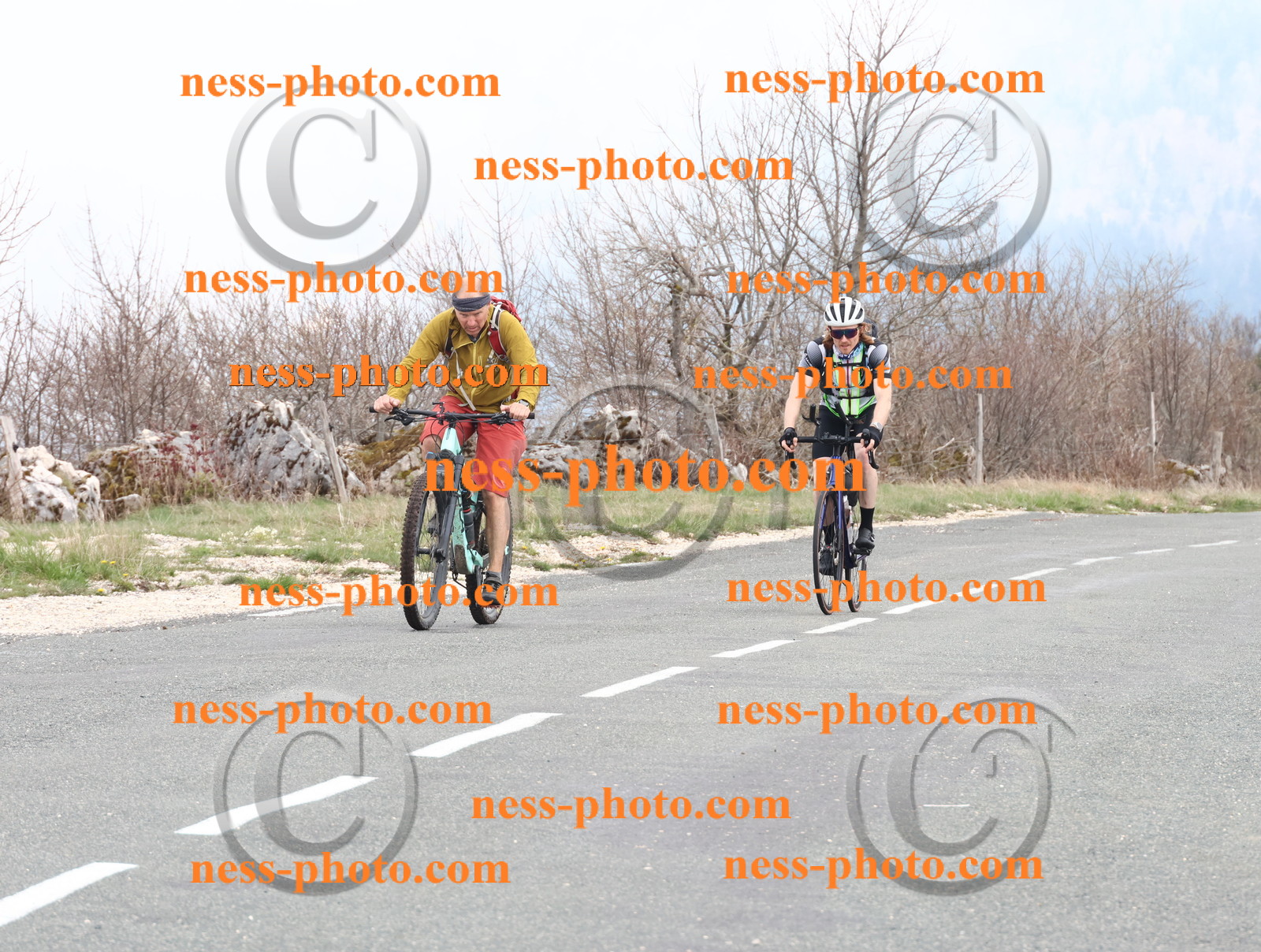 Col du Grand Colombier (92).JPG