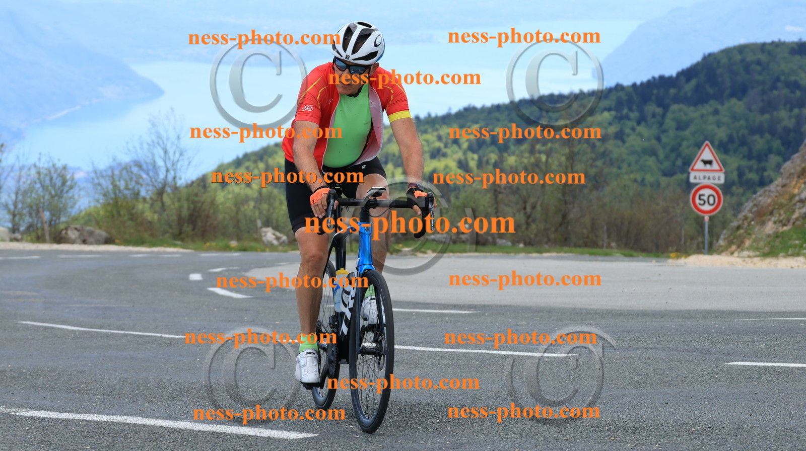 Col du grand Colombier (408).JPG
