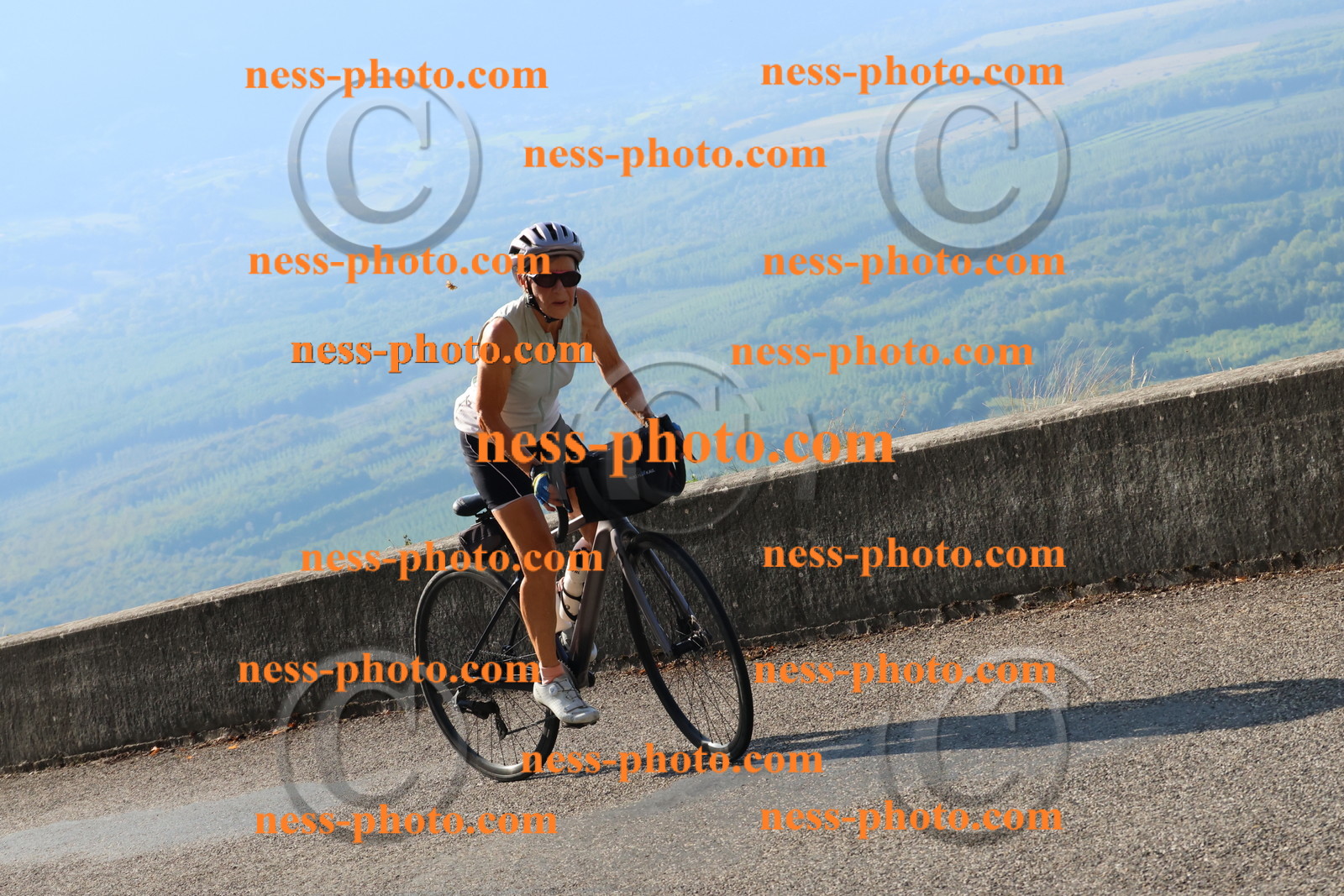 Col du Grand Colombier (739).JPG