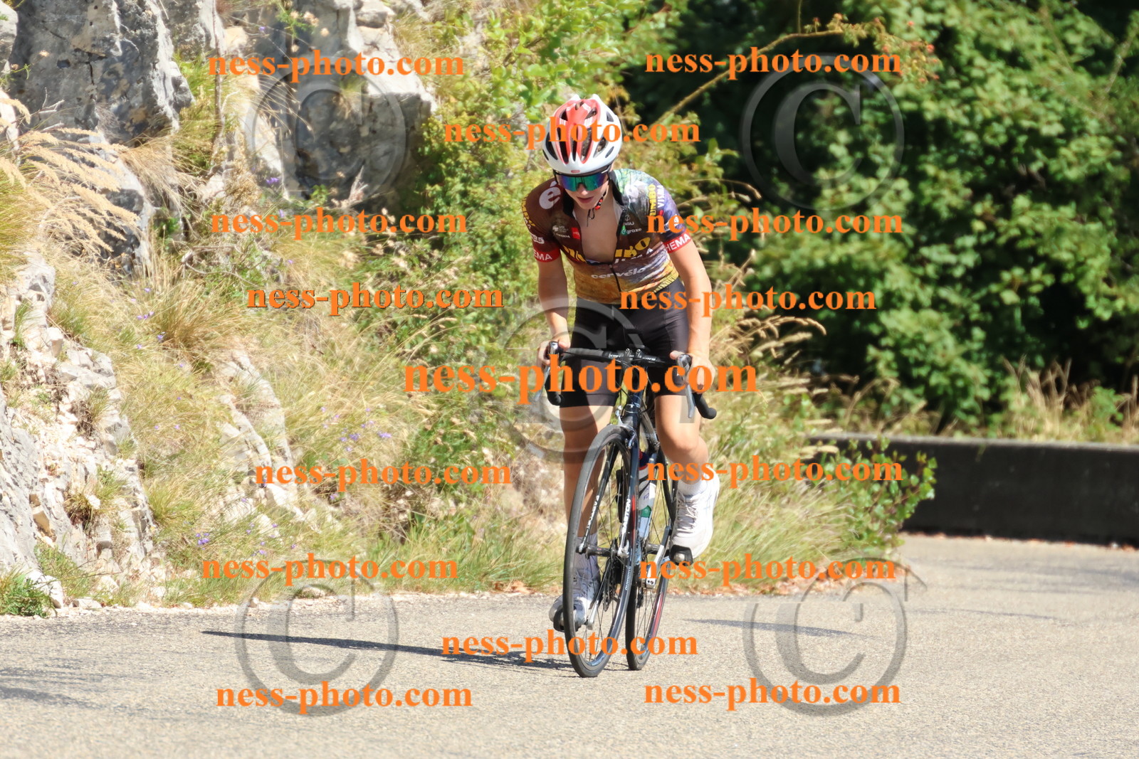 Col du Grand Colombier (621).JPG