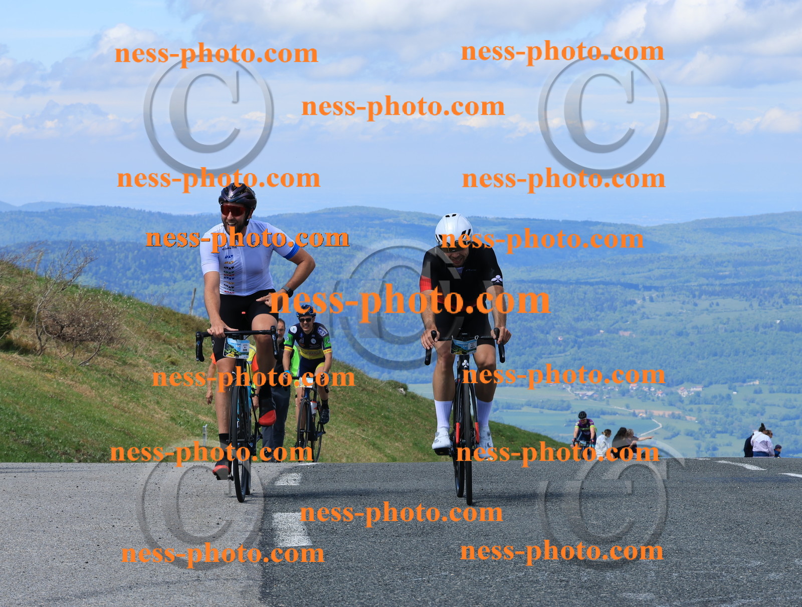 Col du Grand Colombier (1454).JPG