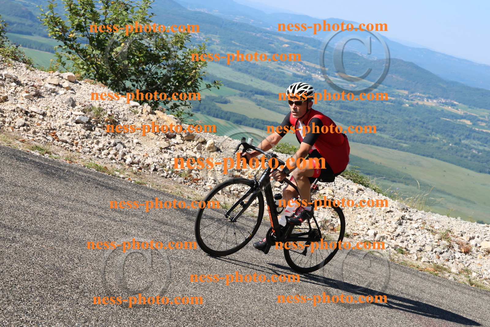 Col du Grand Colombier (1195).JPG