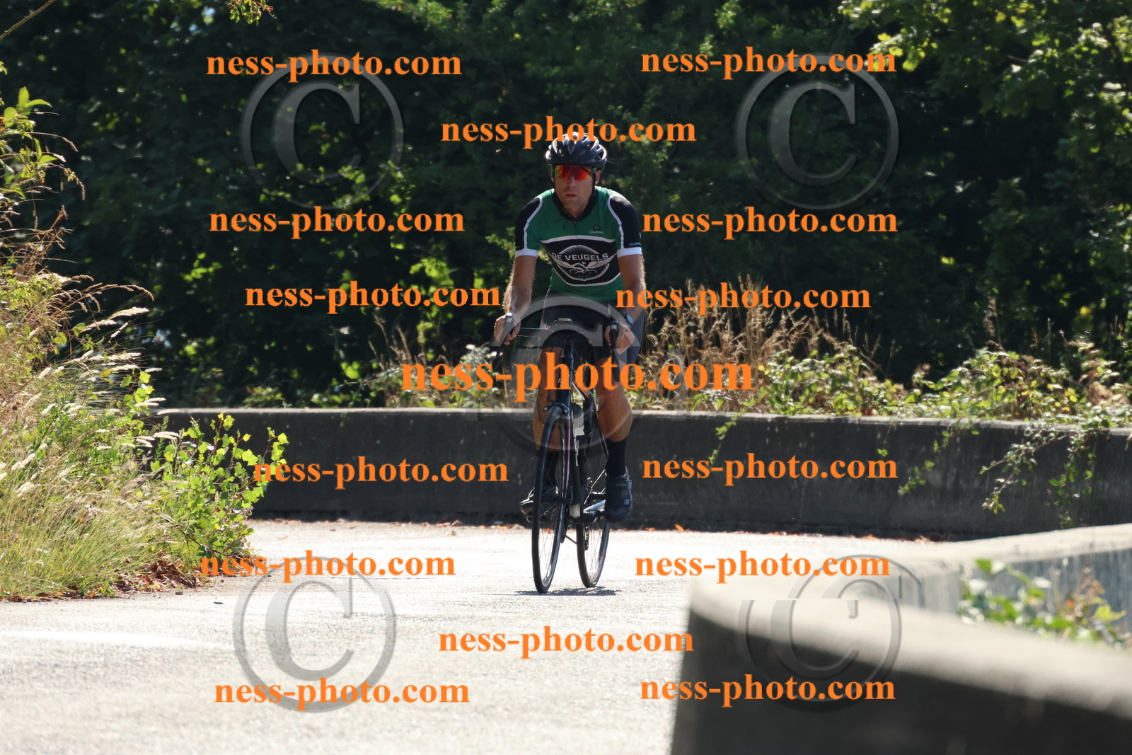 Col du Grand Colombier (62).JPG