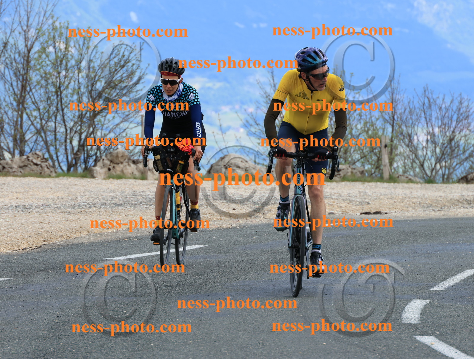 Col du grand Colombier (689).JPG